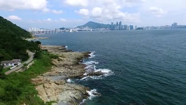 Verano Igidae Park Cuando Ago 2016 — Vídeo de stock