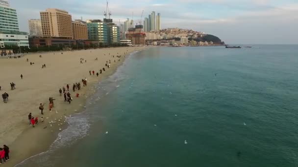 해운대 해수욕장의 해운대 아시아 2016 — 비디오