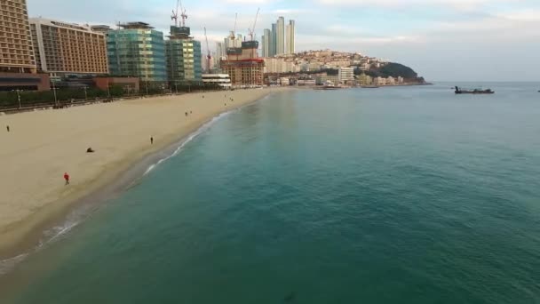 Pôr Sol Inverno Haeundae Beach Pôr Sol Inverno Haeundae Beach — Vídeo de Stock