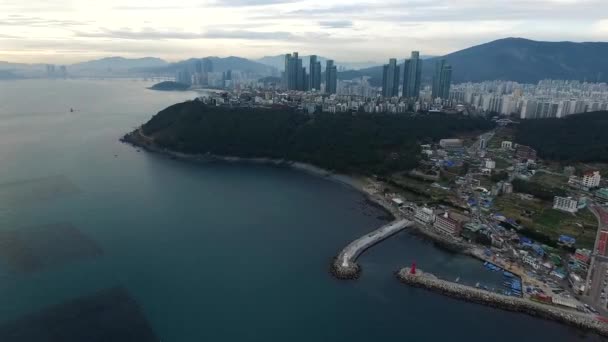 Légi Felvétel Chungsapo Kikötő Haeundae Antenna Nézete Chungsapo Kikötő Haeundae — Stock videók