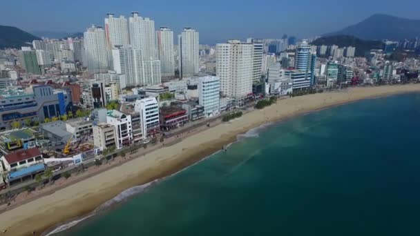 2017 Höst Gwangalli Beach 2017 Höst Gwangalli Beach Busan Sydkorea — Stockvideo