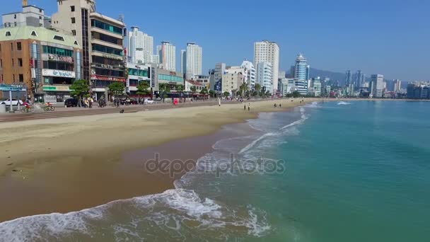 2017 Höst Gwangalli Beach 2017 Höst Gwangalli Beach Busan Sydkorea — Stockvideo