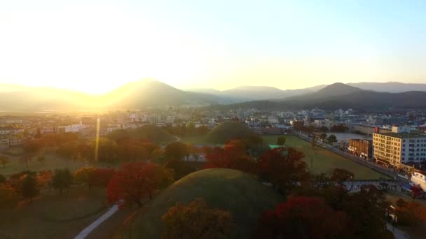 Daereungwon Large Ancient Tombs Kings Daereungwon Large Ancient Tombs Kings — Stock Video