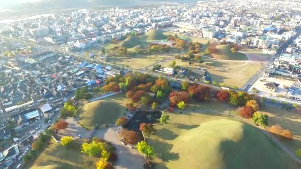 Daereungwon Olan Büyük Antik Mezarlar Kings Daereungwon Kings Büyük Antik — Stok video