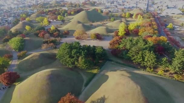 Daereungwon Een Grote Oude Graven Van Koningen Daereungwon Grote Oude — Stockvideo