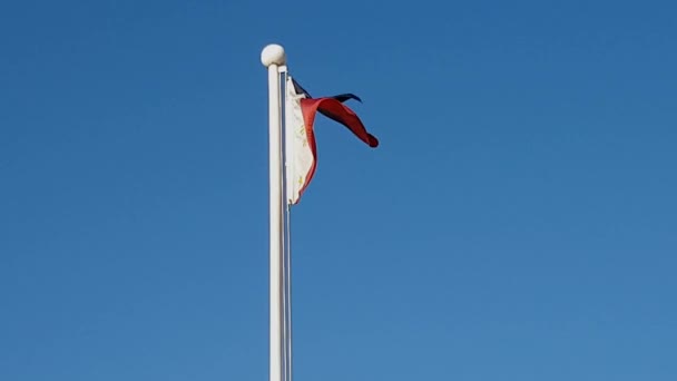 Прапор Phillipine Розмахуючи Повітрі Південної Кореї Phillipine Прапор Розмахуючи Повітрі — стокове відео