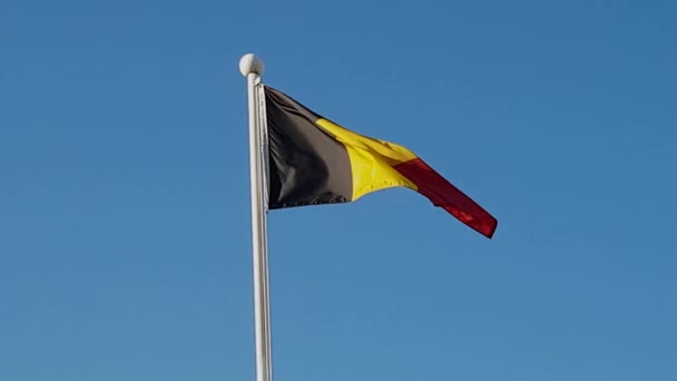 Bandera Bélgica Ondeando Aire Corea Del Sur Bandera Bélgica Ondeando — Vídeo de stock