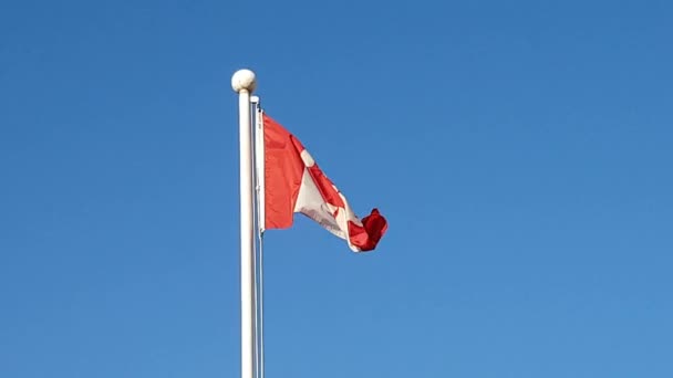 Bendera Melambaikan Tangan Kanada Air South Korea Canada Bendera Melambaikan — Stok Video