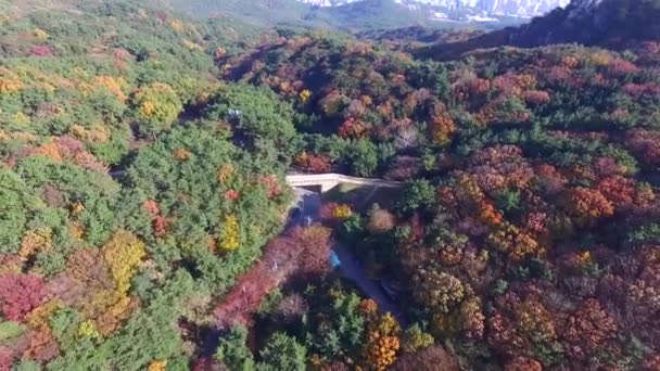 2017 Otoño Geumjeong Mountain Fortress Village 2017 Otoño Geumjeong Mountain — Vídeo de stock