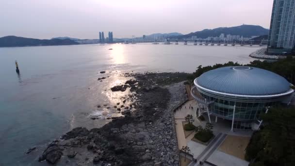 Dongbaekseom Park Haeundae Busan Güney Kore Asya Dongbaekseom Park Haeundae — Stok video