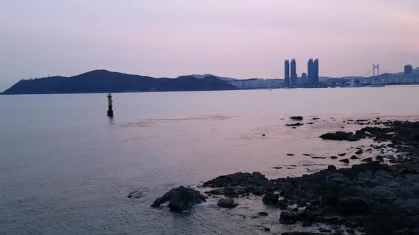 Dongbaekseom Πάρκο Haeundae Μπουσάν Νότια Κορέα Ασία Dongbaekseom Park Haeundae — Αρχείο Βίντεο