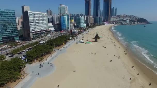 Великий полнолуние дом на пляже Хэундэ — стоковое видео