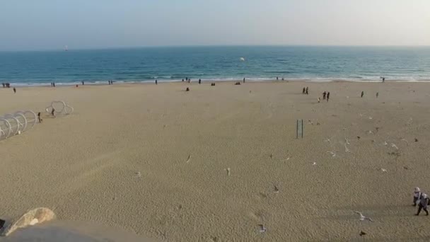 Início Primavera Haeundae Beach Busan Coreia Sul Ásia Início Primavera — Vídeo de Stock