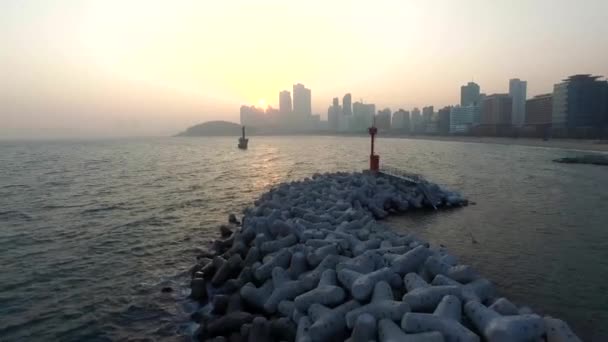 Begin Voorjaar Van Haeundae Beach Busan Zuid Korea Azië Begin — Stockvideo