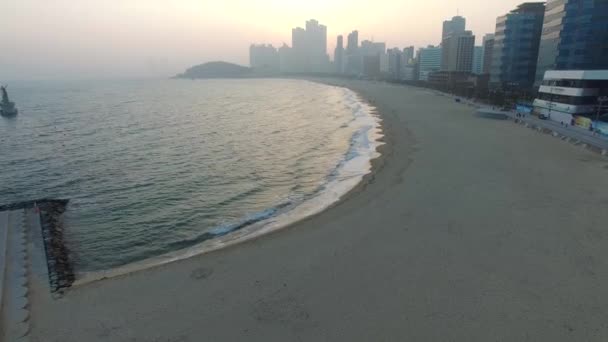 Early Spring Haeundae Beach Busan South Korea Asia Early Spring — Stock Video