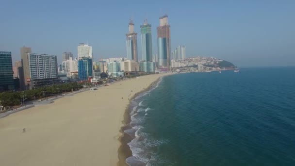 Begin Voorjaar Van Haeundae Beach Busan Zuid Korea Azië Begin — Stockvideo