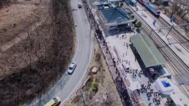 Wondong Maehwa Festivali, Yangsan, Güney Kore, Asya / Wondong Maehwa Festivali, Yangsan, Güney Kore, Asya Mar-17-2018 zaman. Maehwa Japon kayısı çiçektir