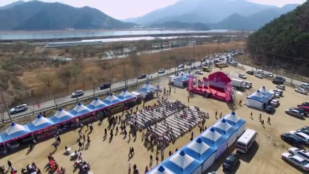 Wondong Maehwa Festival Yangsan Korea Południowa Asia Asia Wondong Maehwa — Wideo stockowe