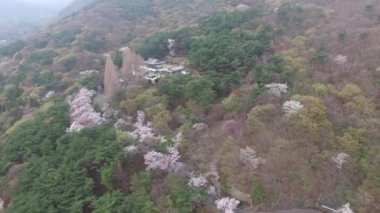Manzara bahar sezonu, Busan, Güney Kore, Asya Beomeosa Tapınağı