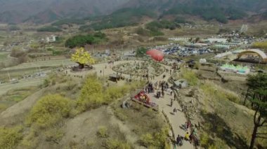 Gurye Sansuyu Conrnus meyve Festivali, Gurye, Güney Kore, Asya / Gurye Sansuyu Conrnus meyve Festivali, Gurye, Jeollanamdo, Güney Kore, Asya zaman Mar-23-2018
