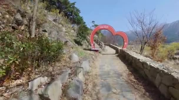 Gurye Sansuyu Conrnus Fruit Festival Gurye Coreia Sul Ásia Gurye — Vídeo de Stock