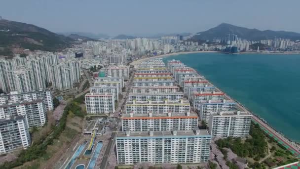 Voorjaar Van Namcheondong Cherry Blossom Street Gwangalli Busan Zuid Korea — Stockvideo