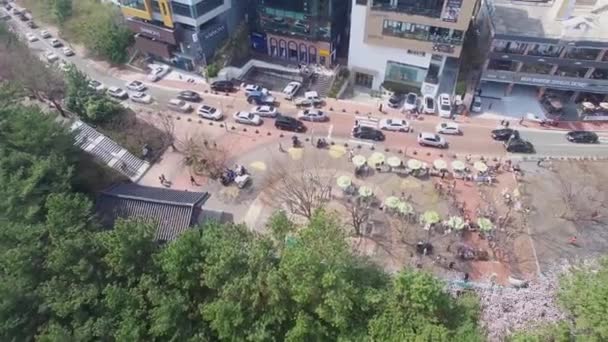 Jaro Namcheondong Cherry Blossom Street Gwangalli Busan Jižní Korea Asie — Stock video