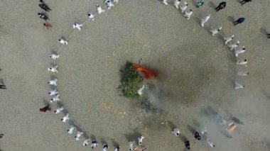 Gayajin Yongsinje Dragon Tanrı ritüel Yangsan, Güney Kore, Asya / Gayajin Yongsinje Dragon Tanrı ritüel Yangsan, Güney Kore, Asya Mar-01-2018 zaman. 1400 yıllık geleneğin Dini törenleri.