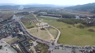 Kiraz çiçekleri çiçek açan Bahar, Cheomseongdae Gyeongju, Güney Kore, Asya / kiraz çiçekleri çiçek açan Bahar, Cheomseongdae Gyeongju, Güney Kore, Asya zaman Nisan-03-2018