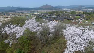 Gyeongju, Güney Kore, Asya bahar Gyochon geleneksel köy / Bahar, Gyochon geleneksel köy Gyeongju, Güney Kore, Asya zaman Nisan-03-2018