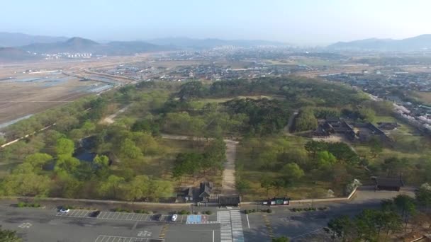 Flor Cerezo Primavera Oreung Antigua Tumba Gyeongju Corea Del Sur — Vídeos de Stock