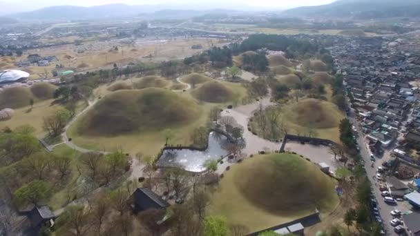 Kirschblüten Blühender Frühling Von Daereungwon Bei Gyeongju Südkorea Asien Kirschblüten — Stockvideo