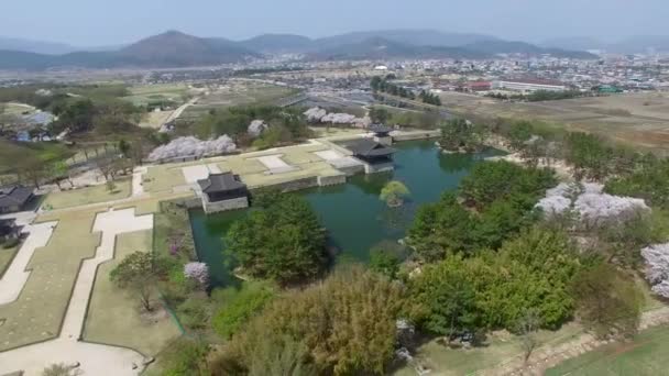 Frühling Von Donggung Palast Und Wolji Teich Bei Gyeongju Südkorea — Stockvideo