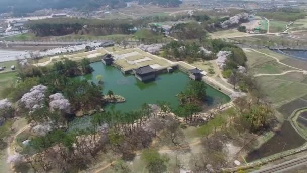 Frühling Von Donggung Palast Und Wolji Teich Bei Gyeongju Südkorea — Stockvideo