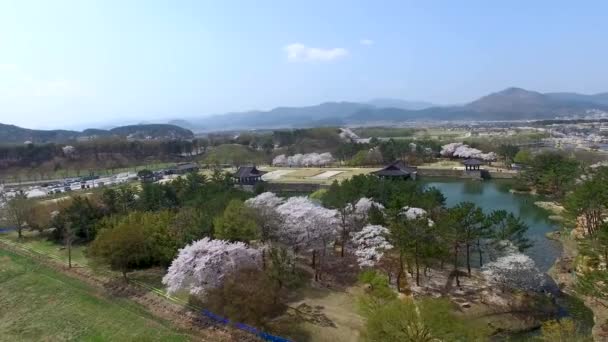 Printemps Donggung Palaca Wolji Pond Gyeongju Corée Sud Asie Printemps — Video