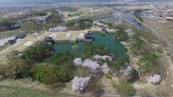 Primavera Donggung Palaca Wolji Pond Gyeongju Corea Del Sur Asia — Vídeos de Stock