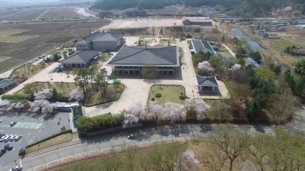Museu Nacional Primavera Gyeongju Coreia Sul Ásia Primavera Museu Nacional — Vídeo de Stock