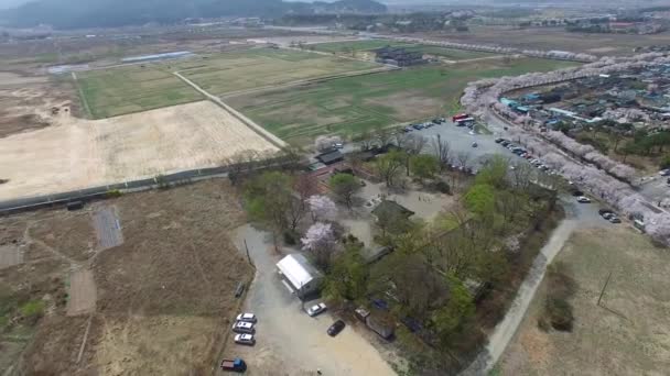 Printemps Bunhwangsa Temple Gyeongju Corée Sud Asie Printemps Bunhwangsa Temple — Video