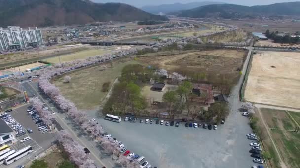 Våren Bunhwangsa Tempel Gyeongju Sydkorea Asien Våren Bunhwangsa Temple Gyeongju — Stockvideo