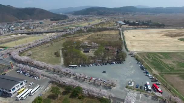 Våren Bunhwangsa Tempel Gyeongju Sydkorea Asien Våren Bunhwangsa Temple Gyeongju — Stockvideo