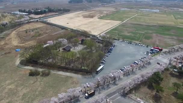 Printemps Bunhwangsa Temple Gyeongju Corée Sud Asie Printemps Bunhwangsa Temple — Video