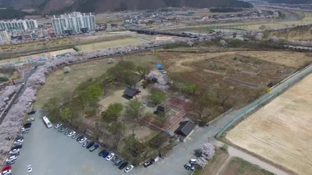 Την Άνοιξη Του Bunhwangsa Ναού Gyeongju Νότια Κορέα Ασία Άνοιξη — Αρχείο Βίντεο
