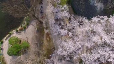 Bomun gölet Bomun Park Gyeongju, Güney Kore, Asya / Bomun gölet Bomun Park Gyeongju, Güney Kore, Asya zaman Nisan-03-2018