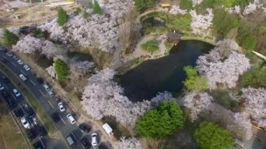 Bomun gölet Bomun Park Gyeongju, Güney Kore, Asya / Bomun gölet Bomun Park Gyeongju, Güney Kore, Asya zaman Nisan-03-2018