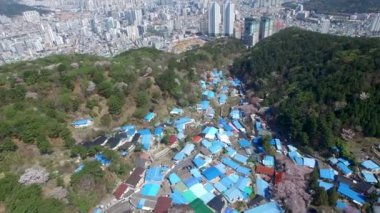 Bahar Mulmangol Köyü, Busan, Güney Kore, Asya / bahar Mulmangol Köyü, Busan, Güney Kore, Asya zaman Nisan-08-2018