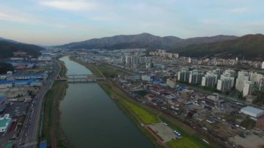 Yuchae kanola çiçek çiçek açan Yangsancheon, Yangsan, Güney Kore, Asya / Yuchae kanola çiçek çiçek açan Yangsancheon, Yangsan, Gyeongsangnamdo, Güney Kore, Asya içinde Nisan-11-2018