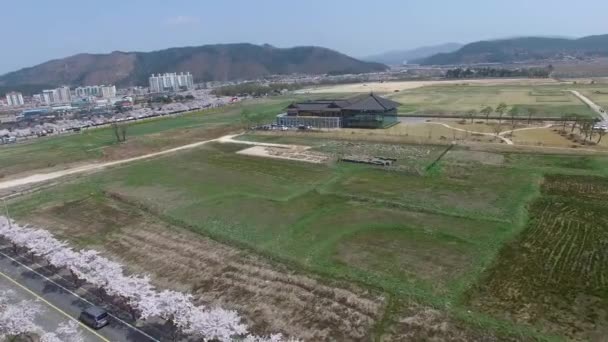 Spring Hwangryongsaji Temple Site Gyeongju South Korea Asia Spring Hwangryongsaji — Stock Video