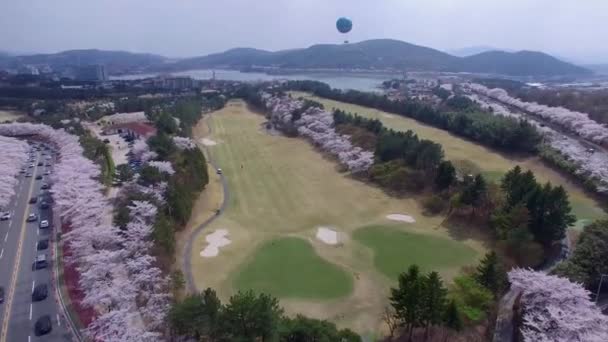 Hot Un Stock >> Hot Air Ballon Bomun Park Gyeongju South Korea Asia Hot Stock Hot Un Stock >> Hot Air Ballon Bomun Park Gyeongju South Korea Asia Hot Stock
