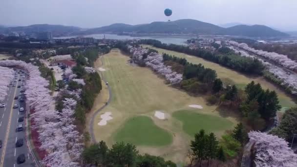 뜨거운 Ballon 아시아에서 아시아 2018에서 공원에서 뜨거운 Ballon — 비디오