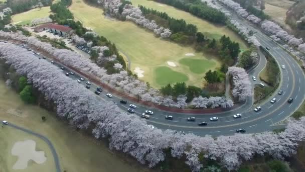 Gyeongju Güney Kore Asya Bomun Park Sıcak Hava Balon Sıcak — Stok video